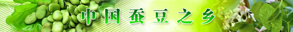 中国蚕豆之乡